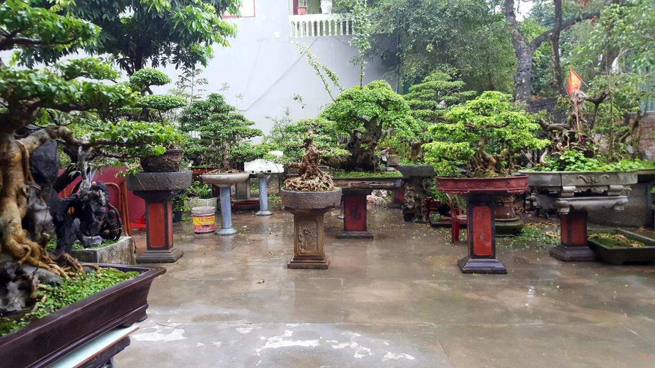 Quang Quang Garden Bonsai Homestay Ninh Binh Exterior foto